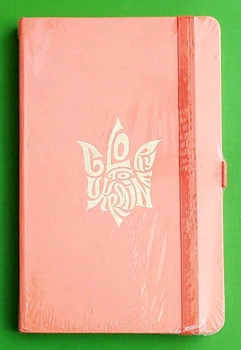 Книга записна Axent Partner Glory (8201-42-4-A), 125x195 мм, 96 аркушів, клітинка, персикова