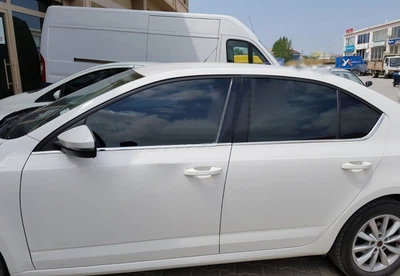 Набор окантовок для стекол из нержавеющей стали (6 шт) для Skoda Octavia III A7 (2013-2019)
