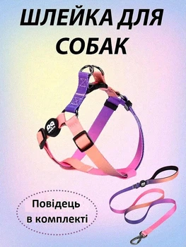 Шлея петля повідець фіолетова для собак регулюється, водостійка, анатомічна обхват грудей 45-65см, повідок для собак QQPETS, М (до 10 кг), набір регульованих ременів фіолетово-рожевий градієнт градієнт ,