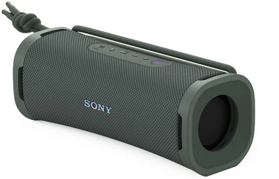Акустическая система Sony Ult Field 1 Wireless Forest Gray (SRSULT10H.CE7)