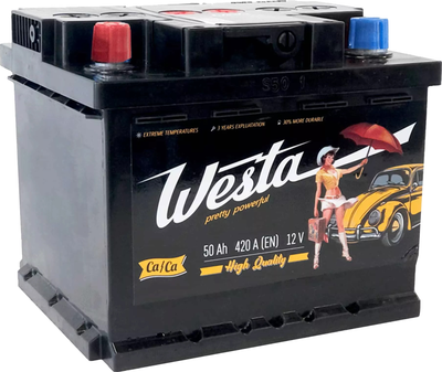 Автомобильный аккумулятор Westa 6CT-50 АЗ (1) Pretty Powerful