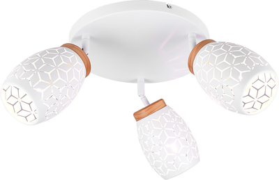 Потолочный светильник REALITY BIDAR 10W (R61573331)