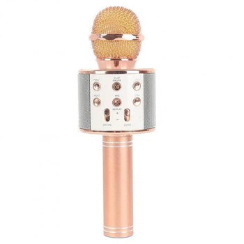 Микрофон Karaoke DM WS858 Золото
