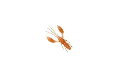 Силикон Fanatik Raider 1.6"/ 10шт, цвет: 009 (4304512009)