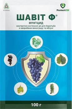 Фунгіцид Шавіт Ф 100 г ProtectON
