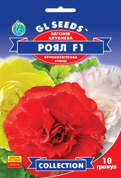 Бегония Роял F1 семена (10 шт) смесь махровая Collection, TM GL Seeds