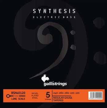 Струни для бас-гітари Gallistrings BSN40120 (.040-.0120), Synthesis, REGULAR TAPERED, Nickel