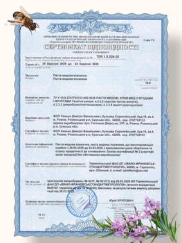 Паста амосова медовая смесь мед с орехами витаминная из сухофруктов для сердца и поднятия укрепления иммунитета Navu классическая в стекле 500 г 