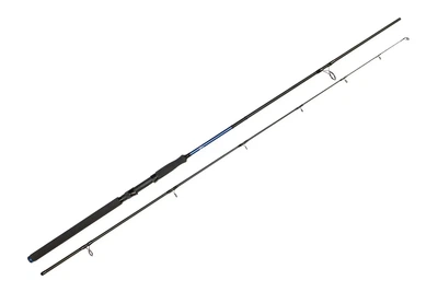 Спиннинг Golden Catch Passion Power 3.00м 40-125г (1408080006)