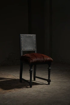 Стілець Чорний лев Чорний Rsr_chair0004
