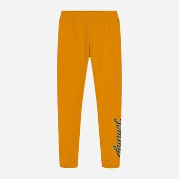 Подростковые спортивные штаны-джоггеры для мальчика Tommy Hilfiger 83029459 164 см Желтые (1159830913)