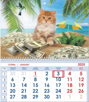 Календар односекційний 2025 Кот 03 2922600802373