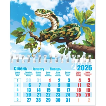 Календар на магніті середній 2025 Змія 06 2922600802489