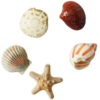 Джибітси She Sells Seashells 5 шт