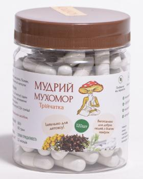 Трійчатка Мудрий Мухомор капсули по 0.5 г 120 шт (Troi4atkaK120)