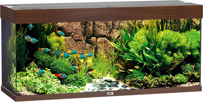 Zestaw akwariowy Juwel Rio 240 LED Brązowy (4022573037500)