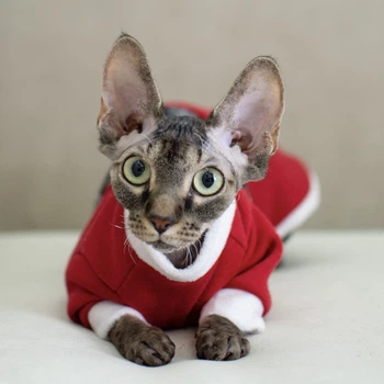 Кофта с рукавом для кота/кошки Style Pets long (red139) L
