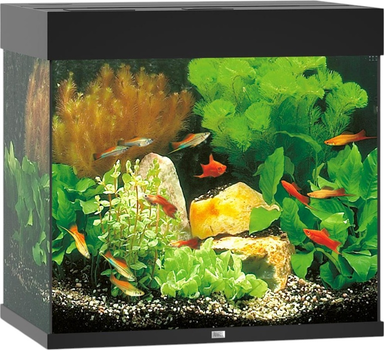 Akwarium Juwel LIDO 120 LED Czarny (4022573113501)