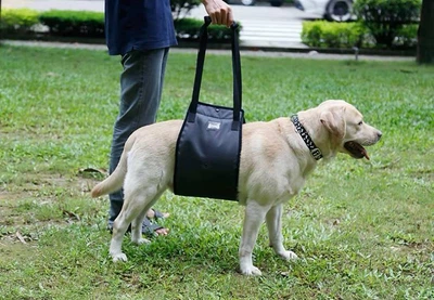 Підтримувальна шлея для спини та лап собак допомога в пересуванні DogLemi S