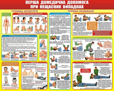 Пластиковий стенд «Перша домедична допомога при нещасних випадках» (Арт 0483)