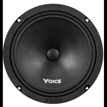 Эстрадная акустика Voice ST-200