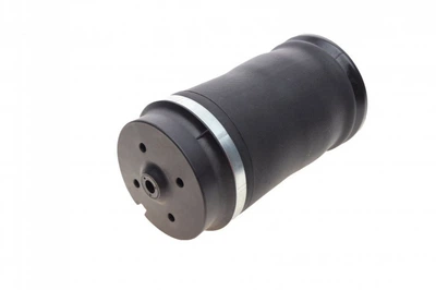 Подушка пневмопидвиски (ззаду) MB (W164) ML SOLGY 224001 (opt-om) Solgy (224001)