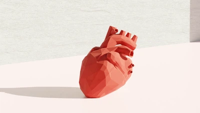 Анатомічне Серце Low-Poly Модель Декор Статуетка. Aivory