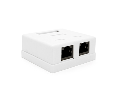 Двойная розетка Ritar RJ45 UTP Cat5 8P8C 2 порта Белая (StR-8P8CRJ45-2)