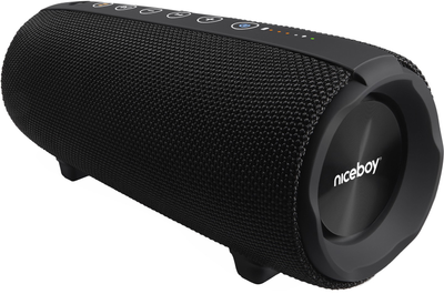 Портативна колонка Niceboy RAZE 3 Titan Black (raze-3-titan)