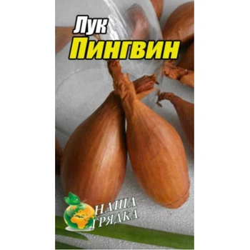 Семена лук Пингвин ранний 5 г