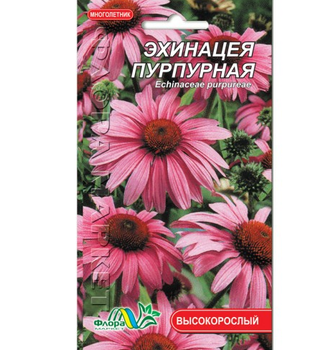 Насіння ехінацея пурпурова багаторічник високорослий 0.1 г