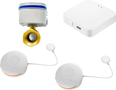 Розумний комплект захисту від протікання води 1DAL StandartKit 1/2" (STKT12)
