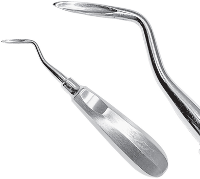 Елеватор кореневий Surgicon Flohr SD-0701-03 (2000988946824)