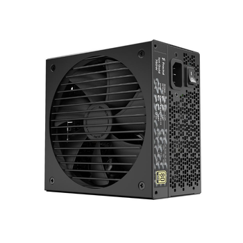 Блок питания Fractal Design Ion Gold 750W D-P-IA2G-750-EU (FD-P-IA2G-750-EU)