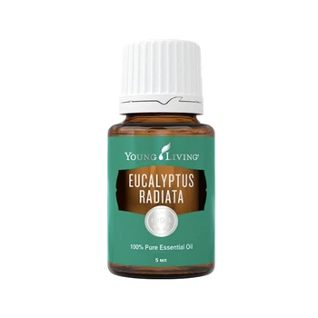 Эфирное масло Эвкалипта лучистого (Eucalyptus radiata) Young Living 5мл на разлив