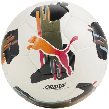Мяч футбольный тренировочный Puma Orbita 5 TB Hardground №5 (4067981499809)
