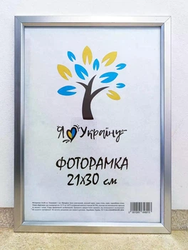 Фоторамка Алан А4 21х30 см срібна багет 1511 оргскло