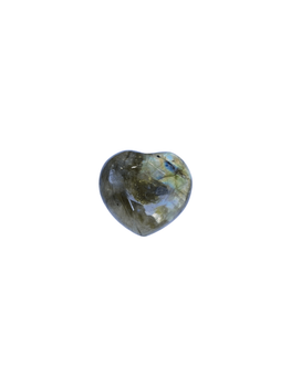 Серце з лабрадору [SKU-12038]