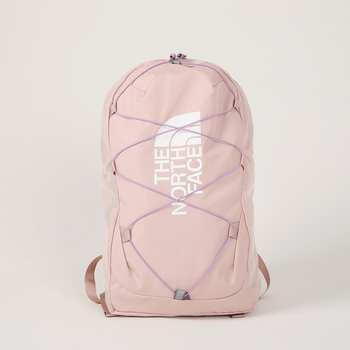 Рюкзак The North Face Y Court Jester Backpack - Pink Moss
