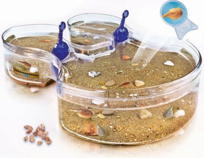 Zestaw eksperymentalny Clementoni Original Triops Maxi de Luxe 69883 (8005125592463)
