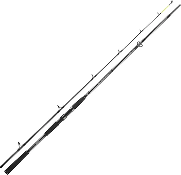 Удилище спиннинговое Daiwa Seahunter X 2.60 м 60–180 г (11533-260)