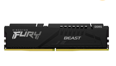 Оперативна пам'ять Kingston Fury DDR5-5600 16384MB PC5-44800 Beast Black (KF556C40BB-16)