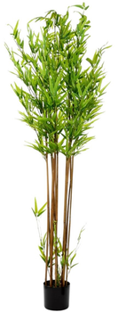 Штучна рослина Homla Tropical Zone Бамбук 180 см (5904183877921)