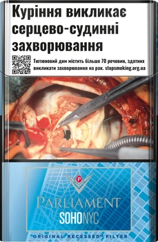 Блок сигарет Parliament SOHO NYC Vibe х 10 пачек (4823003215341)