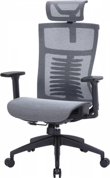 Кресло компьютерное офисное эргономичное OfficePro Balance OC620-B-DG-DG Black/Dark Gray