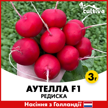 Редис Аутелла F1, 3 гр, Семена из Голландии