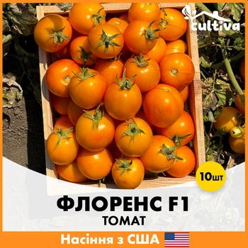 Томат Libra Seeds Флоренс F1 Желтый, 10 шт