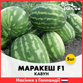 Арбуз Ergon Seeds Марракеш F1, 5 шт