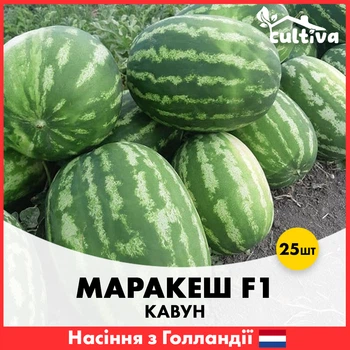 Арбуз Ergon Seeds Марракеш F1, 25 шт