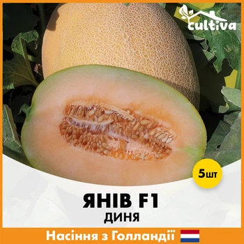 Дыня Hazera Янив F1, 5 шт